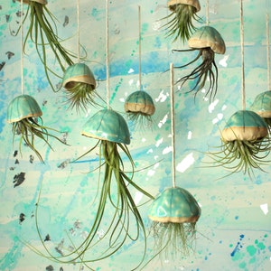 Ceramic Jellyfish Air Plants, Hanging Decor, Unique Gift