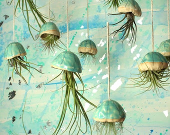 Ceramic Jellyfish Air Plants