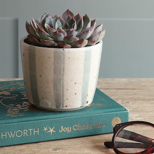 Puede incluir: Una maceta de cerámica con rayas verticales azul claro y crema que contiene una suculenta en forma de roseta con puntas de hojas moradas. La maceta descansa sobre un libro verde azulado titulado Joy Chose You de Ashworth, junto a unas gafas.