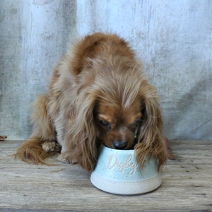 May include: A light blue ceramic dog bowl with the name "Digby" written in white on the front. A brown and white dog is eating from the bowl.