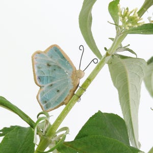 Barney Butterfly Plant Hugger Decoración / Tarjeta de regalo / Regalo de buzón