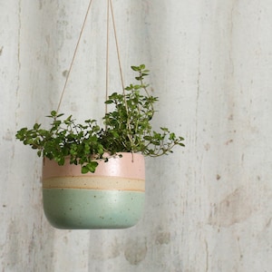 May include: A hanging ceramic plant pot in pink, beige, and mint green. The pot contains green leafy plants and is suspended by thin, light-coloured cords. The background is a textured, off-white wall.