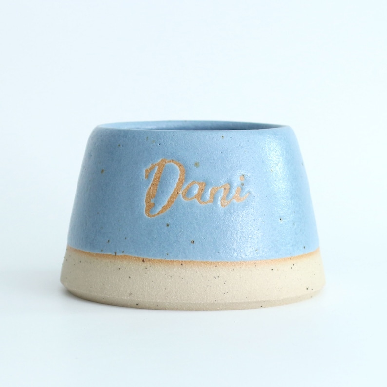 May include: A light blue ceramic pet bowl with a white rim. The bowl has the name "Dani" written in gold lettering.