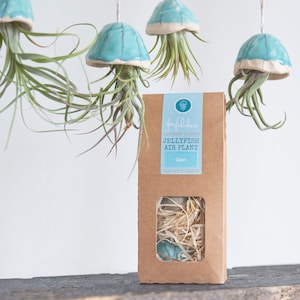 May include: A set of three blue ceramic jellyfish air plant holders with a brown paper bag that says "Fabulous Handmade Ceramics Jellyfish Air Plant Caput Crafted in Devon".