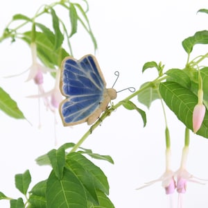 Betty Schmetterling Pflanze Hugger Dekoration | Geschenkkarte | Letterbox Geschenk