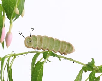 Cara Caterpillar Plant Hugger Decoration | Gift Card | Letterbox Gift