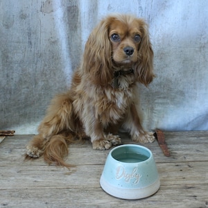 May include: A light blue ceramic dog bowl with white speckles and the name "Digby" written in cursive on the front. A brown and white Cavalier King Charles Spaniel dog is sitting next to the bowl.
