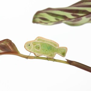 Finley vis plantenknuffeldecoratie | Cadeaubon | Brievenbuscadeau