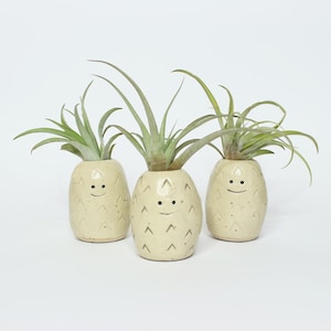 May include: Three small ceramic pineapple planters with happy faces, each holding a green air plant.