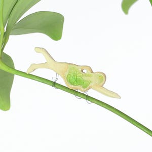 Samantha Swimmer plantenknuffeldecoratie | Cadeaubon | Brievenbuscadeau