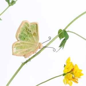 Bella Butterfly plantenknuffeldecoratie | Cadeaubon | Brievenbuscadeau