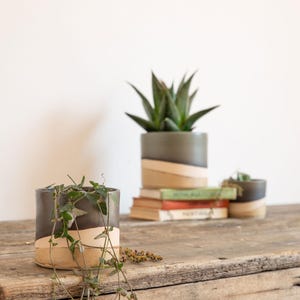 May include: Three ceramic planters in varying sizes, each with a dark gray top, a tan stripe, and a light tan bottom. The planters hold green plants and sit on a rustic wooden surface.