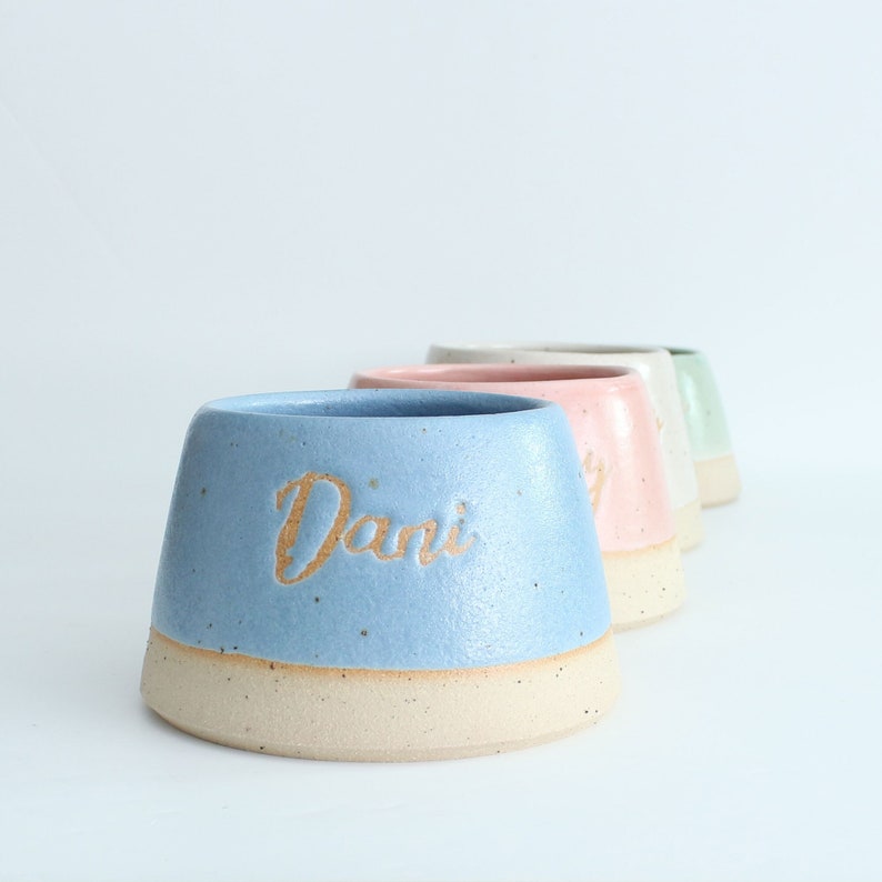 May include: Four ceramic pet bowls in different colors, with the front bowl in light blue with the name "Dani" inscribed in gold lettering.