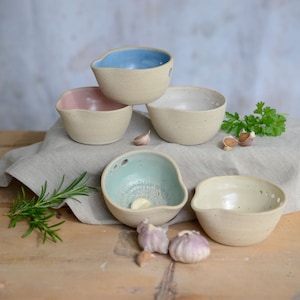 Herb Shredder and Garlic Grater Ceramic Bowl in Pastel Colours