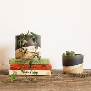May include: Two ceramic planters with a two-tone design, one with trailing greenery and the other with a small succulent. The planters are dark gray and beige, and sit on a wooden surface next to a stack of vintage books.