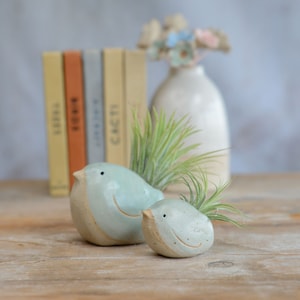 May include: Two ceramic bird planters in light blue with a white rim. The planters are sitting on a wooden surface. Each planter has a small air plant growing out of the top.