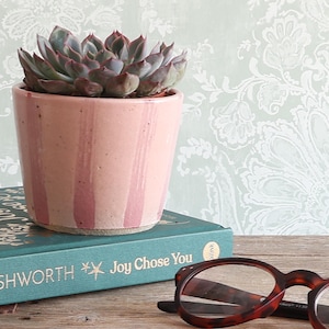 May include: A succulent plant with dark-tipped, fleshy leaves sits in a cylindrical, light pink ceramic pot with vertical darker pink stripes. The pot rests on a teal book titled Joy Chose You by Anna Ashworth, next to tortoiseshell glasses.