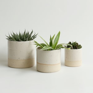 Pastel Plant Pots Stone 3 Sizes Off-White