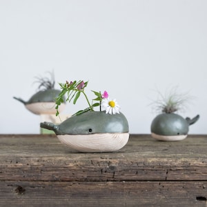 Whale Vase / Air Plant Holder, Mini Flower Vase