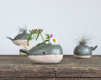 Walvase / Luftpflanzenhalter, Mini Blumenvase