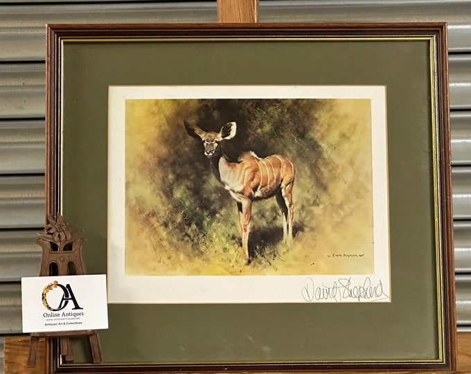 Lovely Vintage Print Of A Kudu / Antelope Signed By Artist David Shepherd