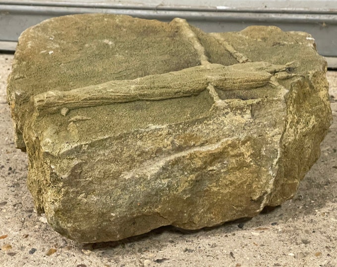 Large Interesting Piece Of Sandstone Rock With Fossil