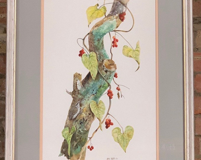 Beautiful Original Watercolour Depicting A Tree warbler By David Barber dated 1990