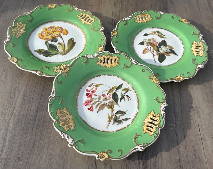 Antique Hand Painted Botanical Plates – Pierced Rim Green & Gilt From Ian Thomas Estate sold at auction in 2019