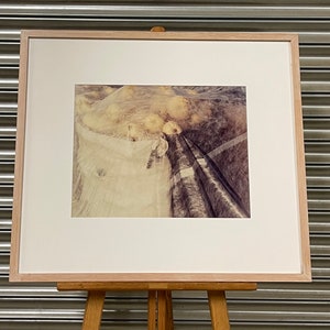 Framed And Glazed Modernist Abstract Unsigned Lithograph Artwork of Fruit Under a Veil