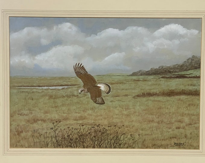 Original Watercolour Of A Bird of Prey By David Wolfe Murray Aka Fish-Hawk(1929-2010)