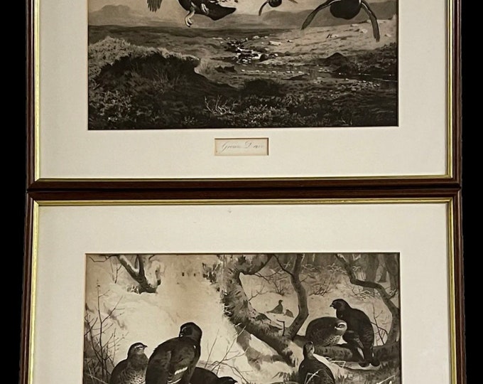 Superb Pair of Quality 19th Century Game Shooting Photogravure’s Artwork by Archibald Thorburn