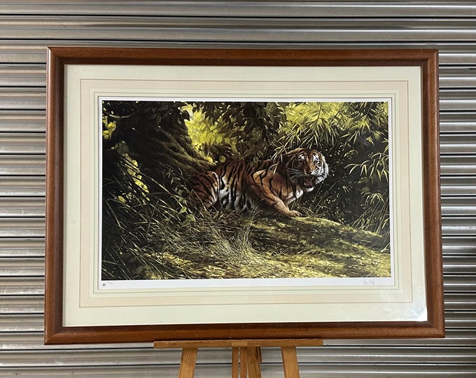 Extremely Large Limited Edition Print Of A Tiger By Spencer Hodge