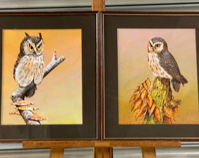 Gorgeous Pair Of Acrylic Paintings Of Owls By The Artist Alan Fairbrass