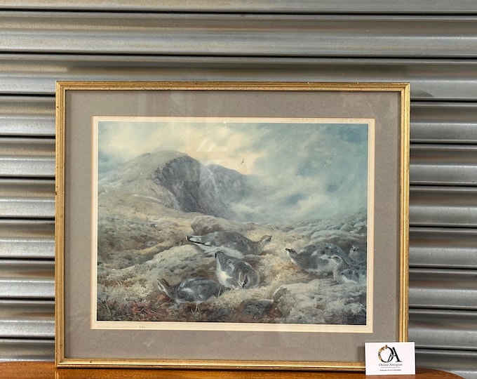 Danger Aloft - Ptarmigan Ltd Edt Print by Scotland’s Archibald Thorburn 230/500