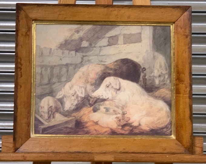 Perfect Gift for Pig Collectors! A Lovely Quality Antique Print Of A Family of Pigs in their Sty By The Artist Edwards.