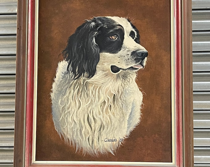 Wonderful Original Beautiful Oil Painting Of A Border Collie By John Caesar Smith dated 1979