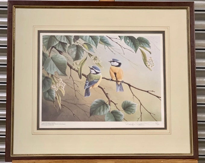 Wonderful Limited Edition Signed Print of Blue Tits by Ralph Waterhouse Dated 1977