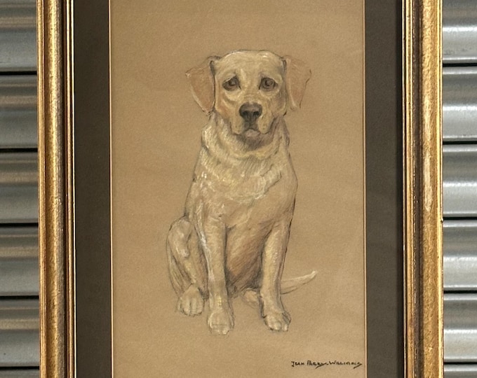 Lovely Original Pastel Artwork Of A Golden Labrador By Jean Parry Williams (1918-2010)