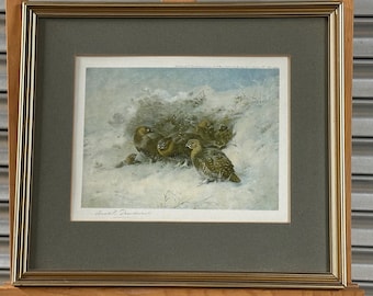 Archibald Thorburn Grouse Sheltering 1927 Pencil Signed Colour Print - Antique Print - Original