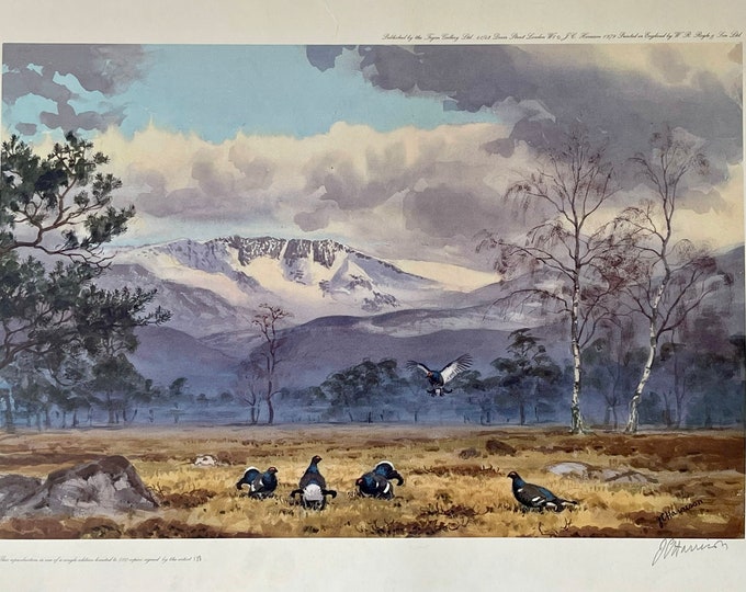 Stunning Print ‘Black Grouse Below The Cairngorms’ Limited Edition 138/500 by John Cyril Harrison