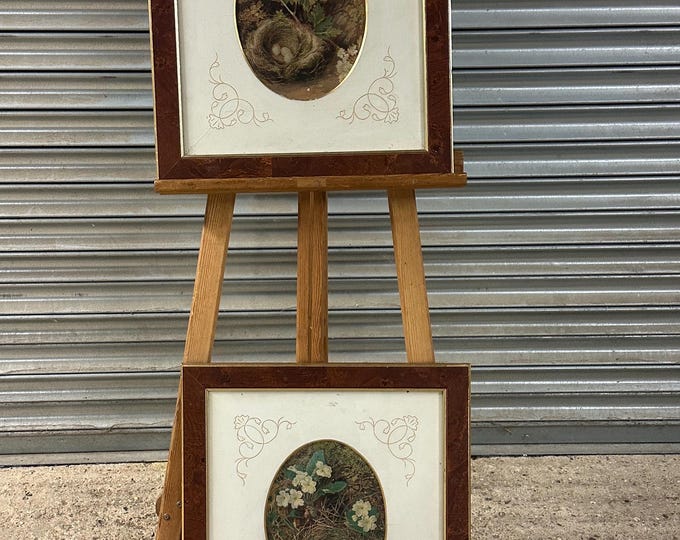 Pair of Antique c1900 Oval Floral & Bird’s Nest Prints in Burr Walnut Frames