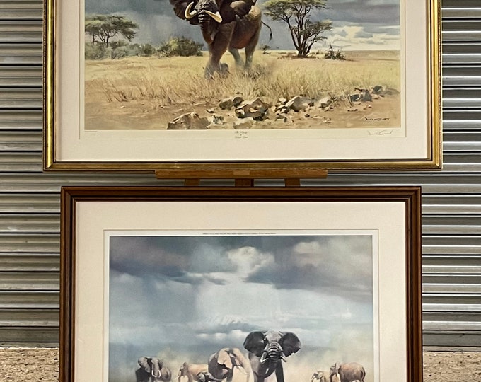 Pair of Large Framed and Glazed Elephant Prints, By The Artist Donald Grant