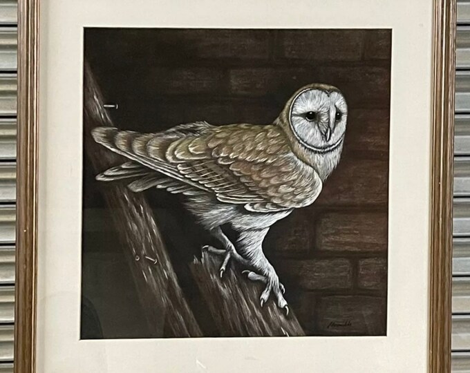 Large Stunning Gouache Artwork Of A Barn Owl By J Reynolds.