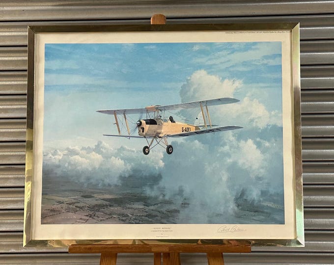 Sunday Morning' Limited Edition Print after Gerald Coulson, one of 500, depicting a De Havilland DH 82A Tiger Moth in flight, signed