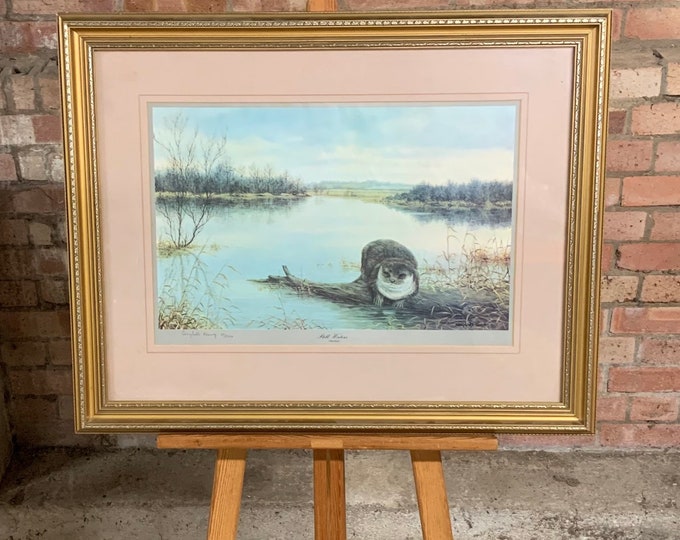 Fabulous Large Gilt Framed Limited Edition 49/500 Print Of An Otter ‘Still Waters’