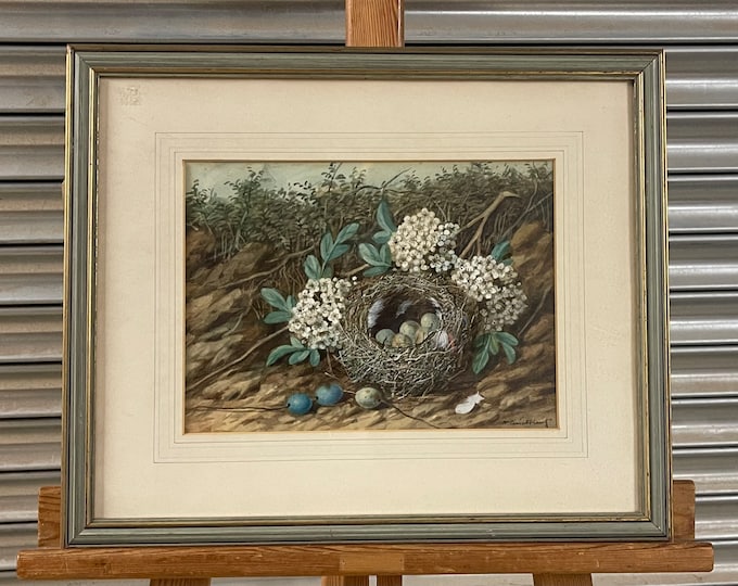 Original 19th Century Watercolour Of A Bird’s Nest with Eggs By The Artist William Cruickshank