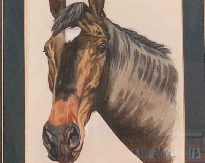 Original Roger Heaton Watercolour Of A Horse Titled 'Larnson' And Dated 1986