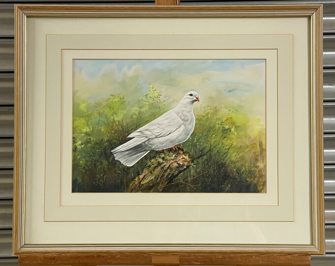 Beautiful Watercolour of a Dove by the Artist, Leonard H Pinder