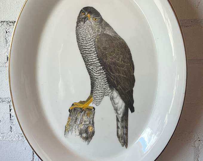 Lovely Large Vintage Oval Plate with Bird of Prey Design