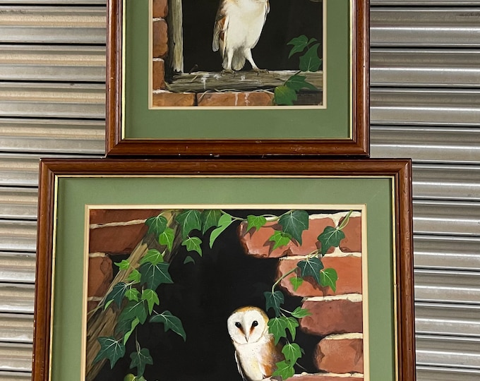 Pair Of Original Paintings Of Barn Owls By The Artist Lee J Waring Dated 1993.